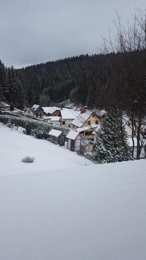 Monteurwohnung Aroba Fehrenbach المظهر الخارجي الصورة