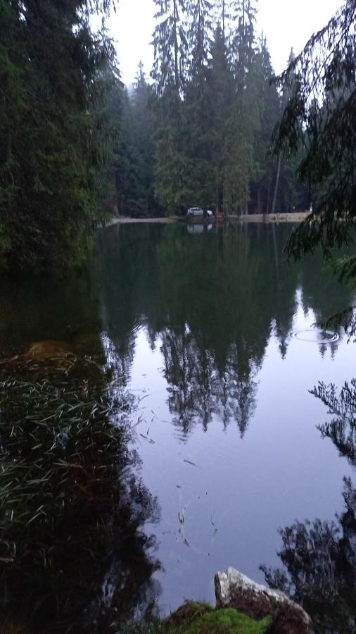 Monteurwohnung Aroba Fehrenbach المظهر الخارجي الصورة