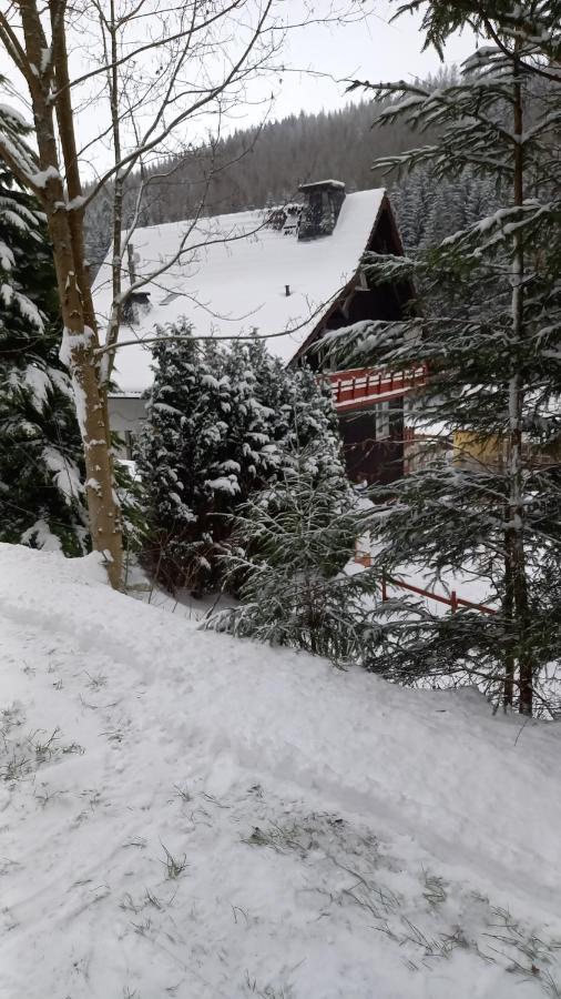 Monteurwohnung Aroba Fehrenbach المظهر الخارجي الصورة