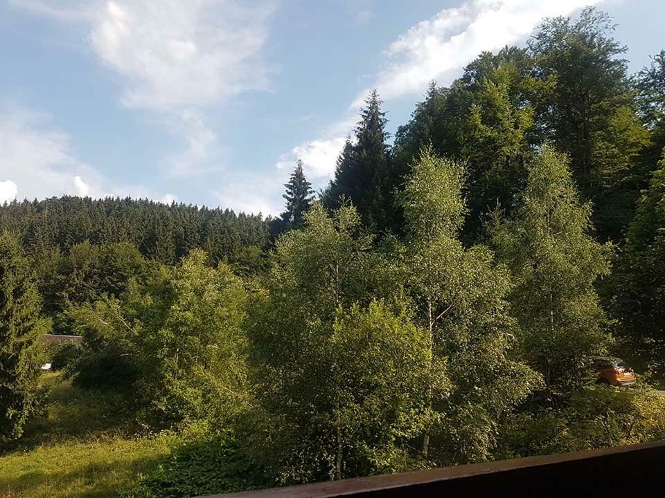 Monteurwohnung Aroba Fehrenbach المظهر الخارجي الصورة
