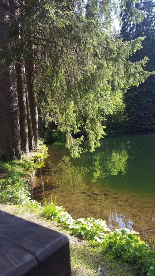 Monteurwohnung Aroba Fehrenbach المظهر الخارجي الصورة