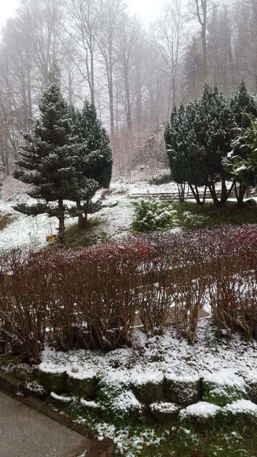 Monteurwohnung Aroba Fehrenbach المظهر الخارجي الصورة